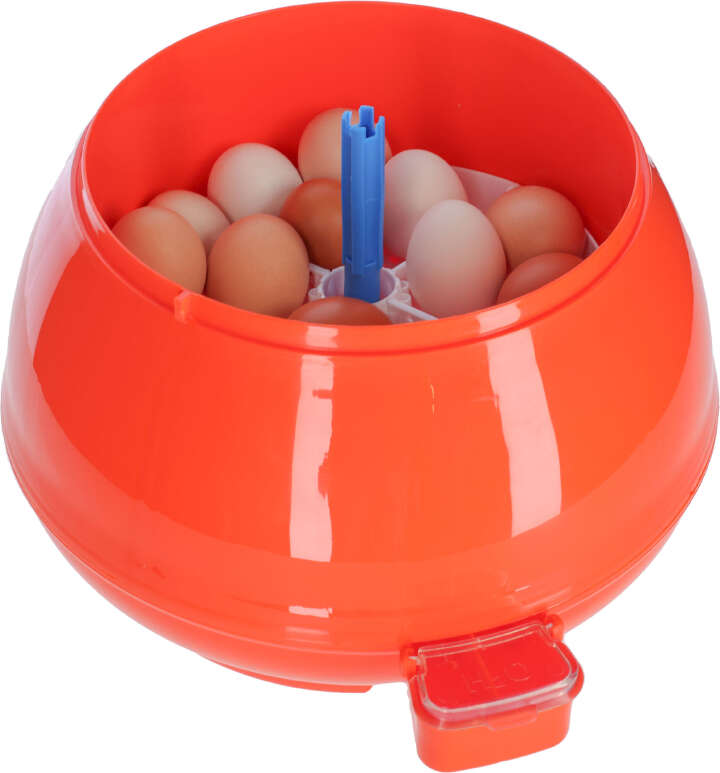 NOVITAL Brutautomat Covatutto Version 2.0